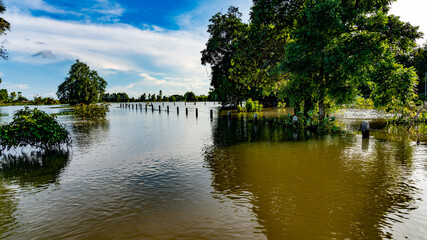 Obraz premium Thailand Floods 2021 