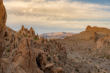 Obraz premium Muted Colors of Late Afternoon in The Grapevine Hills