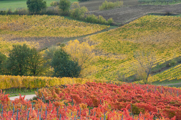 Autumn in Umbria, Italy