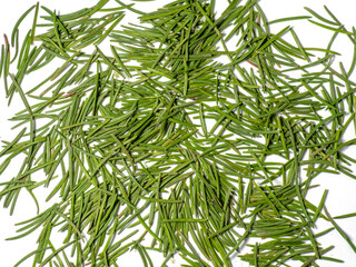 Background from Christmas tree needles. Spruce. New Year