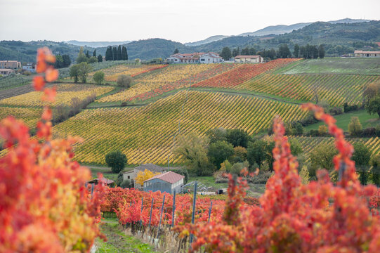 Autumn in Umbria