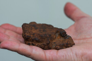 iron meteorite in the palm ,Bistrita,Romania