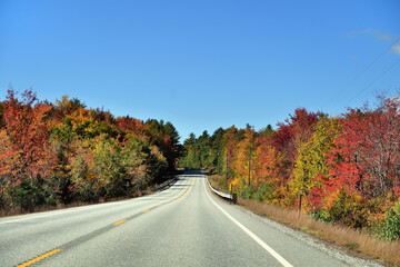  A highway splicing through a forest as tree leaves began their annual change of color in a picturesque area of New Hampshire. 