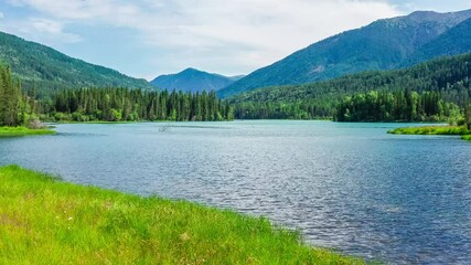 Aerial view of kanas Lake in Summer,Xinjiang,China.Drone rising to shoot Kanas Lake and mountains.