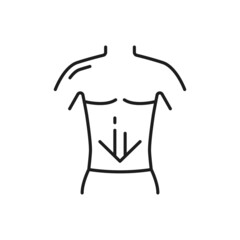 Healthy intestines, arrow pointing down of human body isolated thin line icon. Vector good digestion, healthcare. Cleanse process in digestive system diarrhea and gastric bacillus, bad microflora