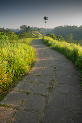 Path or jogging track in Campuhan, Ubud, Bali