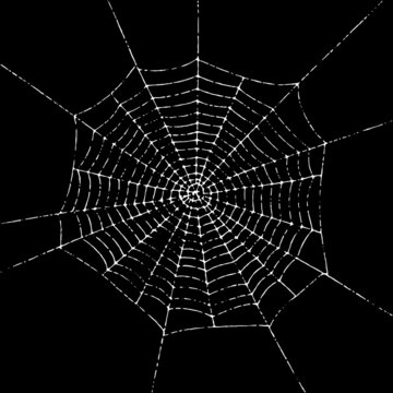 Grunge spider web vector background