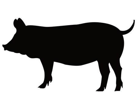 四足動物 Images Browse 62 Stock Photos Vectors And Video Adobe Stock