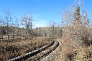 Tracks In The Autumn Woods, Fort Edmonton Park, Edmonton, Alberta