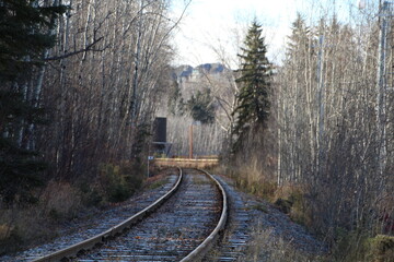 Fototapeta premium railway in the forest