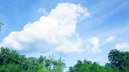 The sky has white clouds natural sunlight shines on the green treetops.
