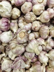 garlic on market
