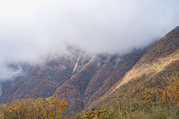 秋の伊吹山