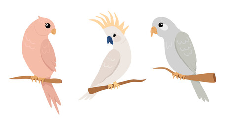 Set of cute tropical parrots in flat style. Vector illustration of parrot on white background