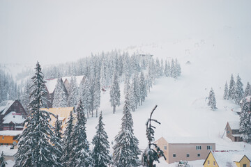 Beautiful white winter wonderland mountain scenery in the Carpathian with traditional house.