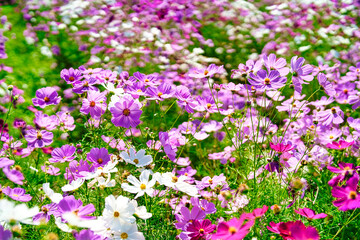 138タワーパーク