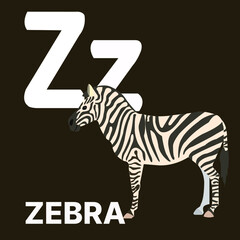 Alphabet Z, Z for zebra. Vector illustration of educational alphabet card cartoon character for kids.