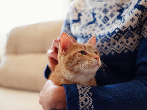 woman in warm blue winter sweater holds ginger cat in her arms. concept of cozy and warmth in cold season at home, Animals and lifestyle.