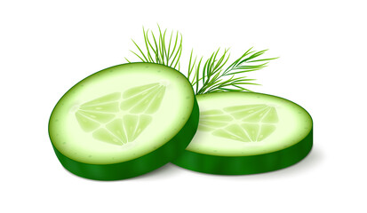 Two cucumber slices with dill isolated on white background. Realistic vector illustration.