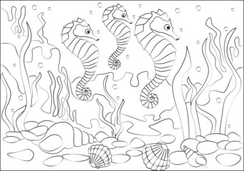 Coloring book for children. Three seahorses are swimming on the seabed. Flat vector illustration for children's books and magazines