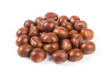 Close-up Chestnuts isolated on white background.