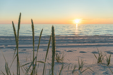 sunrise over the sea against the background of the beach and grass