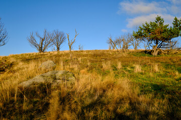 Die Wasserkuppe, der höchste Berg der Rhön im Herbst, Biosphärenreservat Rhön, Hessen, Deutschland.