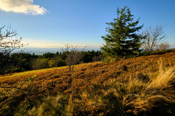Die Wasserkuppe, der höchste Berg der Rhön im Herbst, Biosphärenreservat Rhön, Hessen, Deutschland.