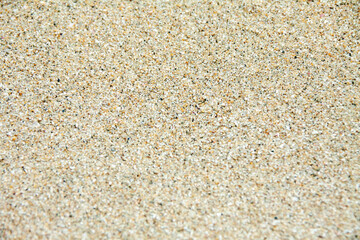 海岸の砂と貝殻