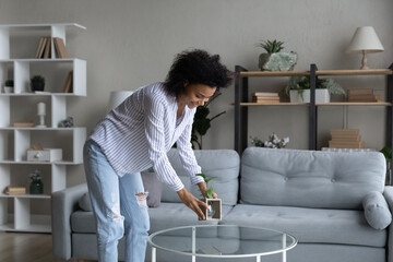 Happy African American woman taking care about green house plant in cozy modern living room at...