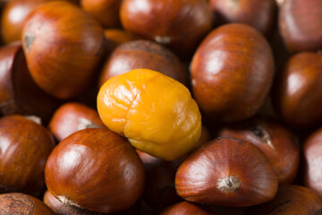 Close-up Chestnuts with peeled  isolated on white background.