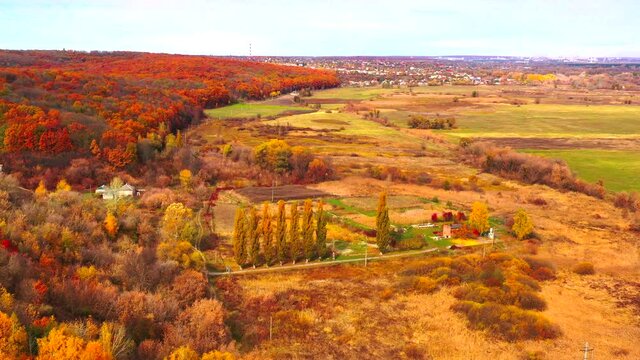 Autumn landscape. Arboretum them. Dokuchaev. 4K aerial photography.