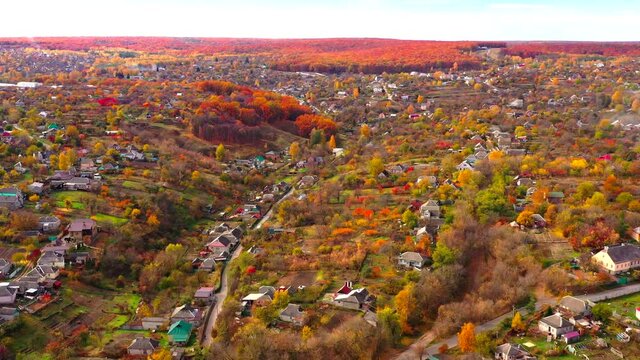 Autumn landscape. Arboretum them. Dokuchaev. 4K aerial photography.