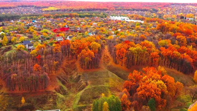 Autumn landscape. Arboretum them. Dokuchaev. 4K aerial photography.