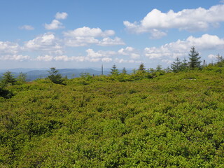 Wonderful Silesian Beskids Mountains range near Salmopol pass, Poland