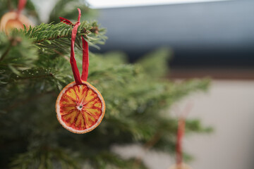 Closeup small christmas tree with dried oranges as decorations for holidays