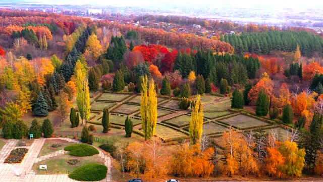 Autumn landscape. Arboretum them. Dokuchaev. 4K aerial photography.