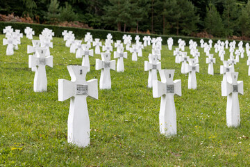 Cemetery with white crosses for soldiers of the World War II of the Ukrainian division of Galychyna.