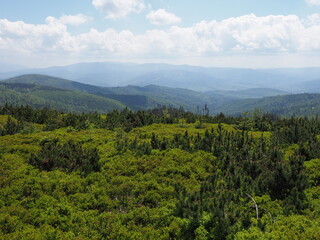 Wonderful Silesian Beskids landscapes range near Salmopol pass, Poland