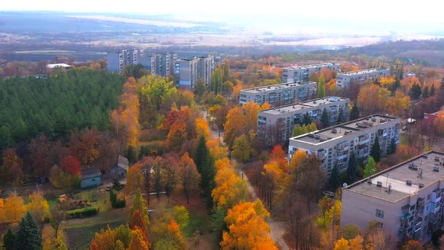 Autumn landscape. Arboretum them. Dokuchaev. 4K aerial photography.