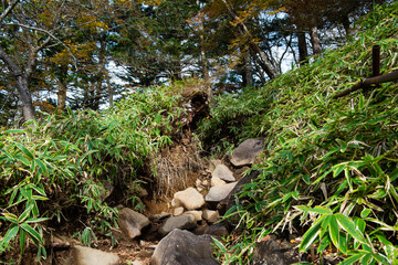 日本百名山　男体山五合目に続く登山道