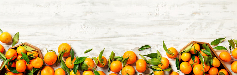 Fresh mandarin fruits with leaves on white wooden table. Banner or panorama. top view