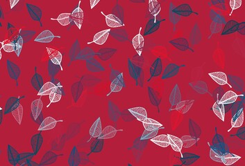 Light Blue, Red vector doodle template.