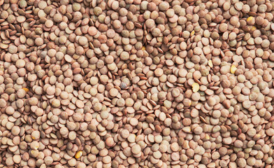 Beautiful lentils image