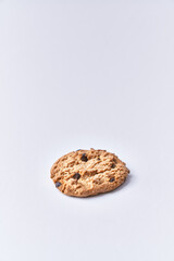  Delicious chocolate cookie isolated on a white background