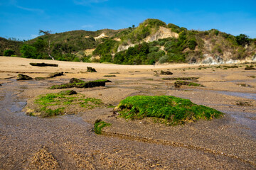 Lombok low tide with seaweed