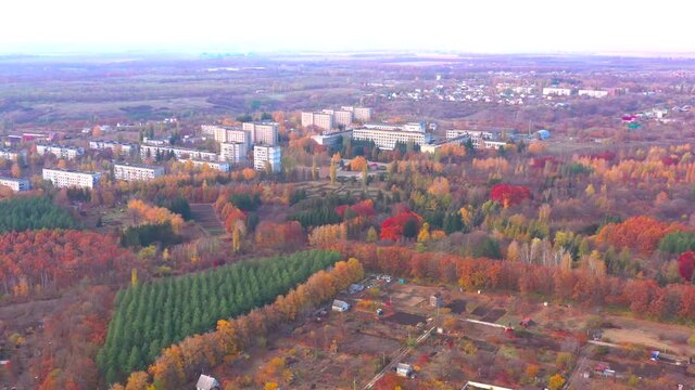 Autumn landscape. Arboretum them. Dokuchaev. 4K aerial photography.