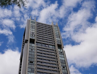 Torre y árbol