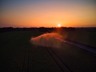 Countryside sunset with crop irrigation sprinkler system spraying water on arable crops 