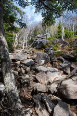 日本百名山　男体山八合目に続く登山道